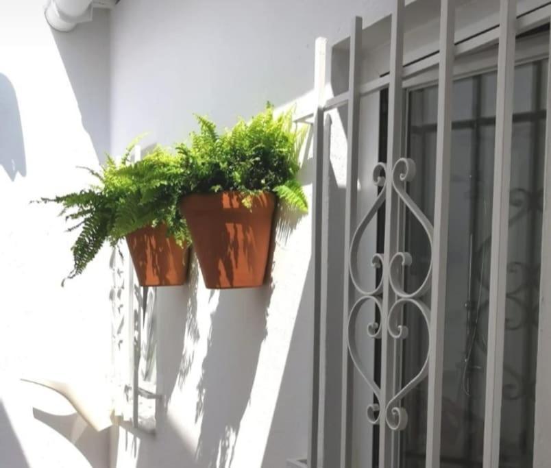La Marieta, Casita Acogedora Y Centrica Villa Castilleja de la Cuesta Eksteriør bilde